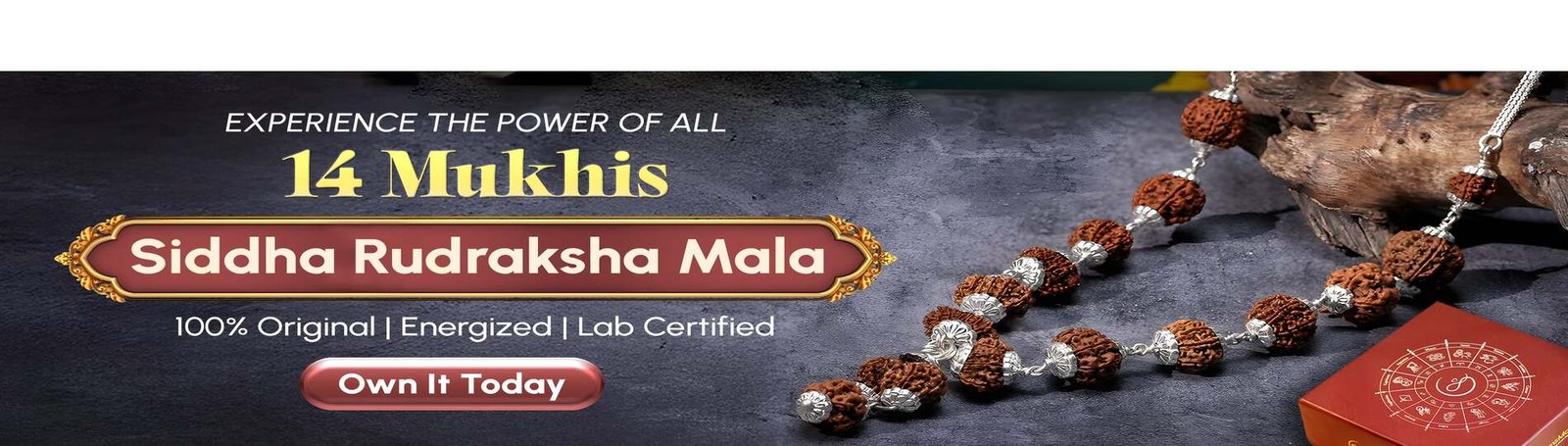 sidh-rudraksha-mala (3)