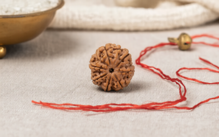 Buy Online Natural 7 Mukhi Rudraksha Nepali
