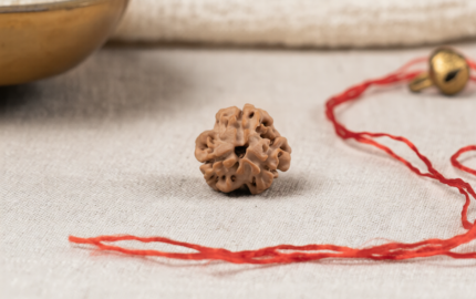 Buy 3 Mukhi Rudraksha Nepali Online | Original