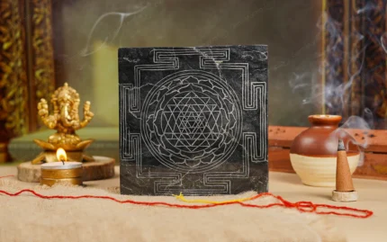 Buy Online Premium Handmade Shaligram Shree Yantra