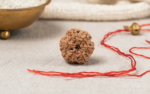 Buy Online Natural 6 Mukhi Rudraksha Nepali